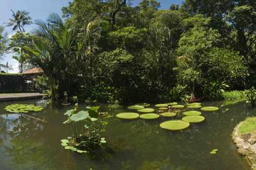 Tropical Spice Garden Admission Ticket & Audio Guided Tour