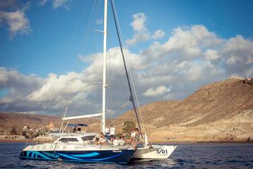 Catamaran EsNautica