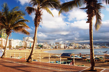 Las Palmas & Botanic Garden & Volcan