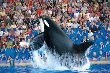 Tenerife & Loro Parque