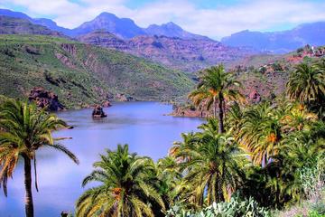 VIP Gran Canaria Shared 9 Hour Guided Group Tour by Bus