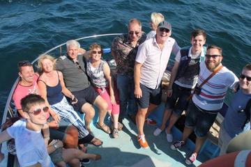 Private Dolphin Safari Charter in Gibraltar