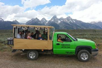 Grand Teton Wildlife Safari in Open-Air Vehicle