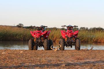 Quad Bike Safari