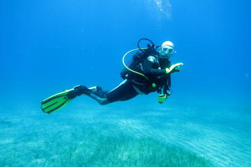 Open Water Diver Course