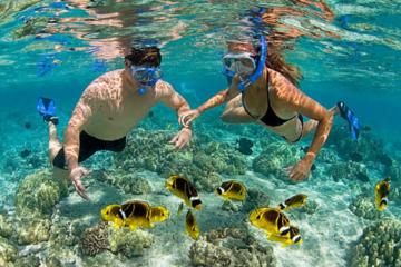 Bali Best Snorkeling at Blue Lagoon with Transport and Lunch