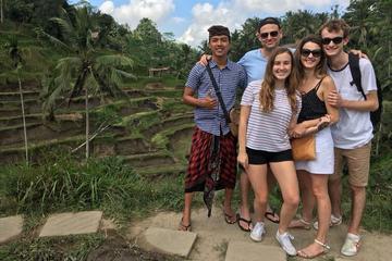 Bali Private Shore Excursion: Explore Ubud Culture with Private Car Charter