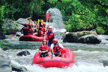 Bali Rafting Including Lunch and Transport