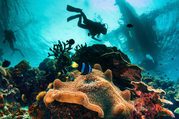 Try and Discover scuba diving