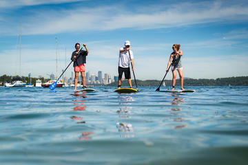 Stand Up Paddle on Sydney Harbour