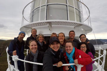 Fully Guided Bruny Island Lighthouse Tour
