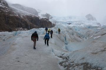 Ice Trekking Cagliero Glacier