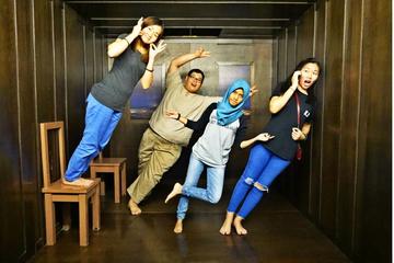 Penang 3D Trick Art Museum Admission