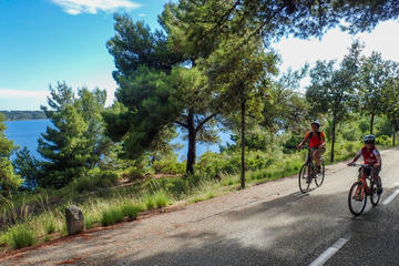 Split Bike Tour: City Highlights by Standard or Electric Bike
