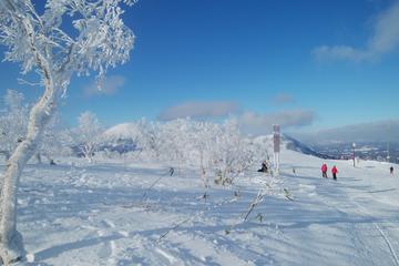 Shared Departure Transfer : Ski Resort in Hokkaido to Shin Chitose Airport
