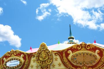 Tokyo Disneyland Shared Transfer : from Disneyland to Tokyo (One Way)