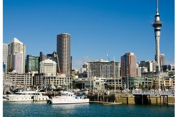 Private Chauffeur Driven Auckland City Tour