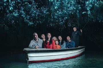 Private tour of Waitomo Caves for five persons