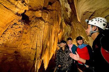 Private Tour of Waitomo Caves