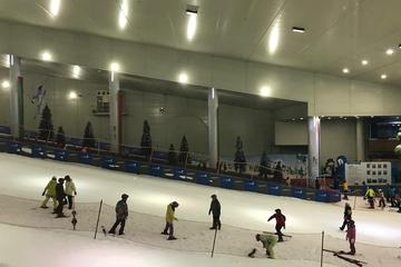 Indoor Ski & Snowboard
