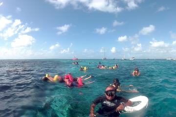 Hol Chan and Turtle Garden Snorkeling Tour