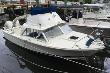 Rent a boat for 1 day