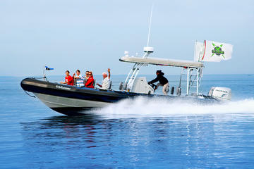 Catalina Island Day Trip from Anaheim or Los Angeles with Ocean Runner Boat Tour
