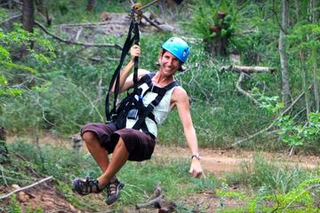 Half Zipline Tour (3 lines)