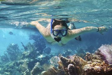 Cozumel Snorkeling Tour: Palancar, Columbia and Cielo Reefs