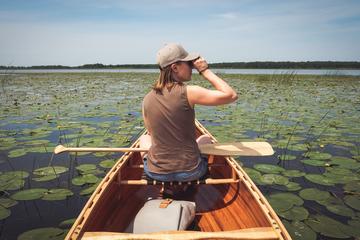 BIRDWATCH - Premium guided canoe tour at Cape Vente, Nemunas Delta Regional Park
