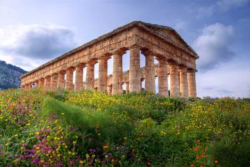 Escursione giornata intera a Segesta, Erice, Trapani e Saline da Palermo