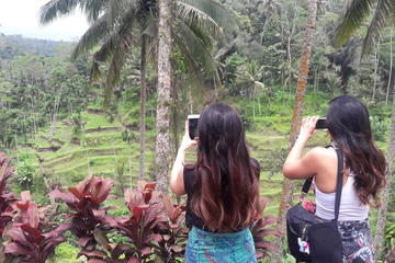 Full day  tour Jatiluwih Unesco heritage Ulun Danu Bratan and Tanah Lot Temple