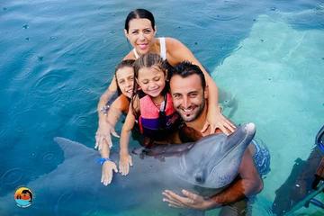 Swimming with Dolphin costomize Ubud Waterfall Uluwatu Sunset Tour