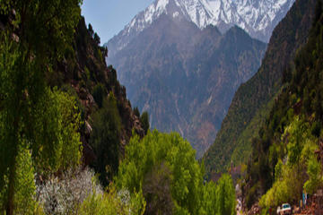 Day trip in high Atlas Mountains & experience the Berber life in three valleys