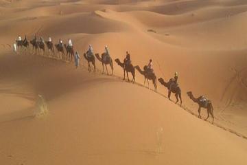 Desert tour : Private 3 days  guided  tour from Marrakech to Merzouga