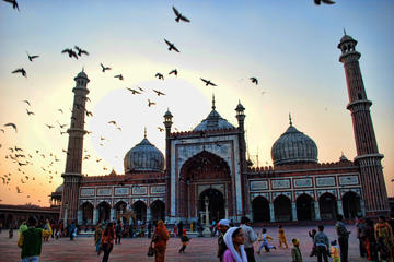 Delhi - Day Tour