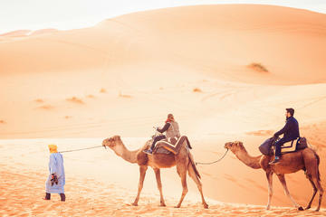 2-Day Sahara Desert Camel Trek in Tunisia