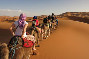 3 Days Tunisian Sahara Camel Trek