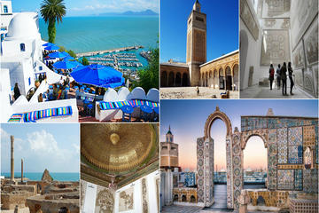 Full-Day Carthage, Sidi Bou Said and Bardo Museum Private Tour from Tunis