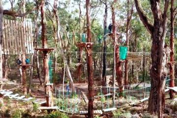 Trees Adventure Yeodene: Tree Ropes & Zipline Experience