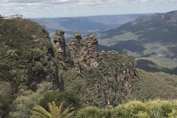 Blue Mountains and Three Sisters Bush Adventure Tour from Sydney