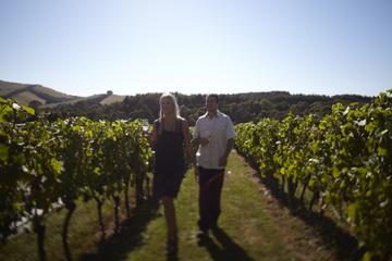Experience Yarra Valley: Beer, Cider, Wine and Food from Melbourne