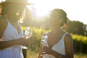 Hunter Valley Wine, Vodka, Liqueur & Chocolate Day Tour from Sydney