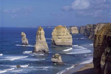 Reverse Great Ocean Road and 12 Apostles Day Trip from Melbourne