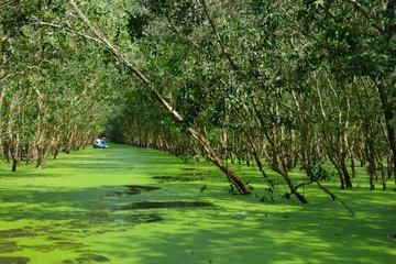 3-day Mekong Delta tour with Tra Su Sanctuary