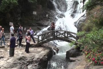 DALAT FULL DAY PRIVATE CITY TOUR