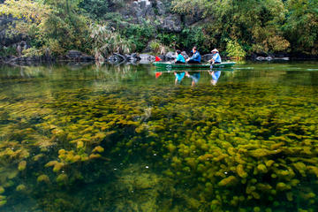 Full Day Bai Dinh Pagoda and Trang An Ecosystem Tour