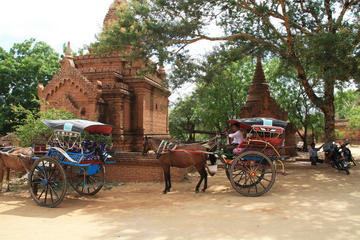 Half Day Sightseeing With Royal Horse