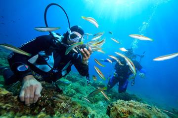 Nha Trang Diving Tour to Hon Mun Island