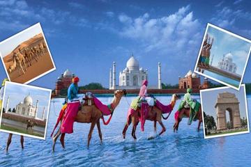 04 Nights Golden Triangle Tour